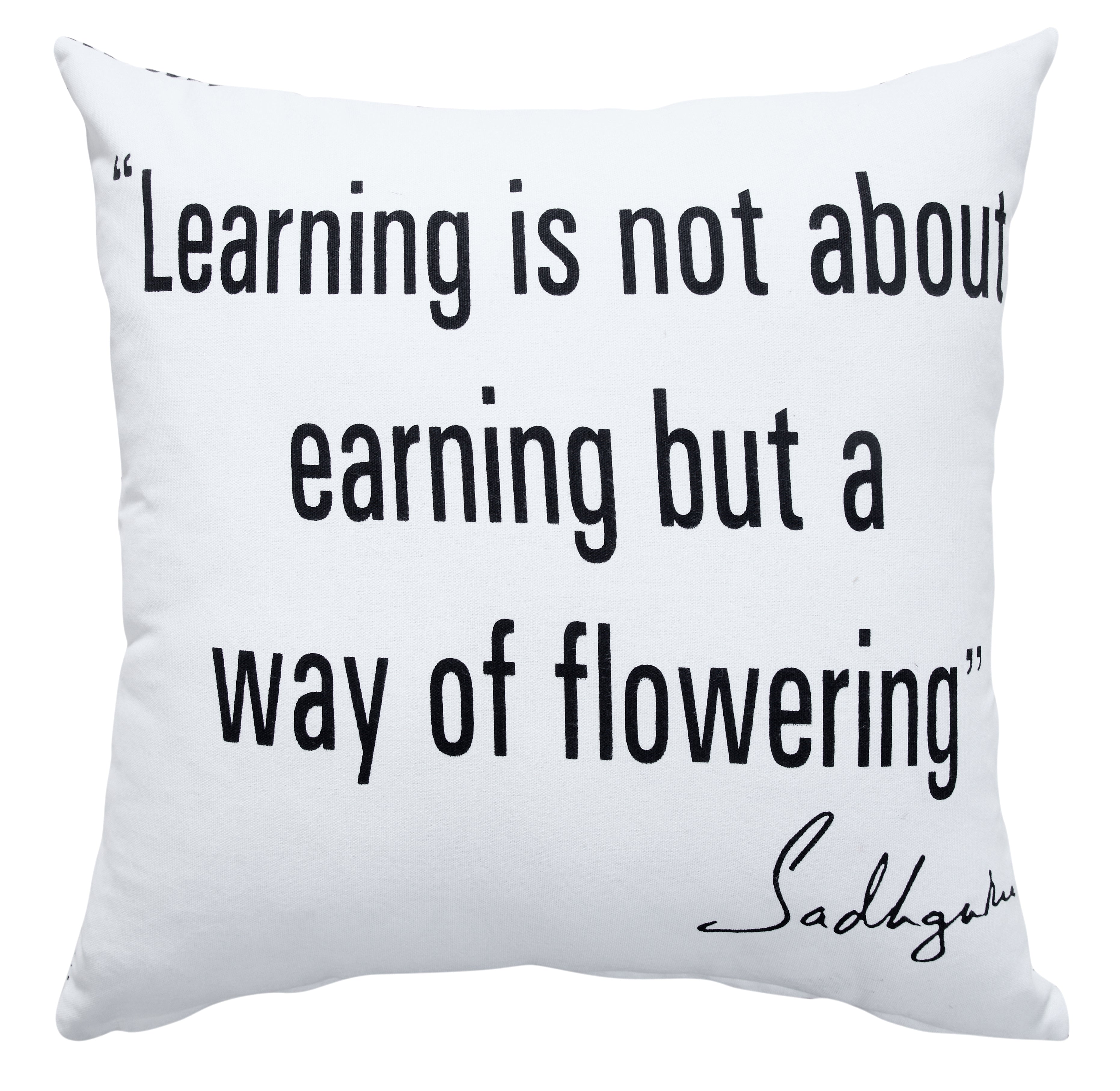 Learning Throw Pillow